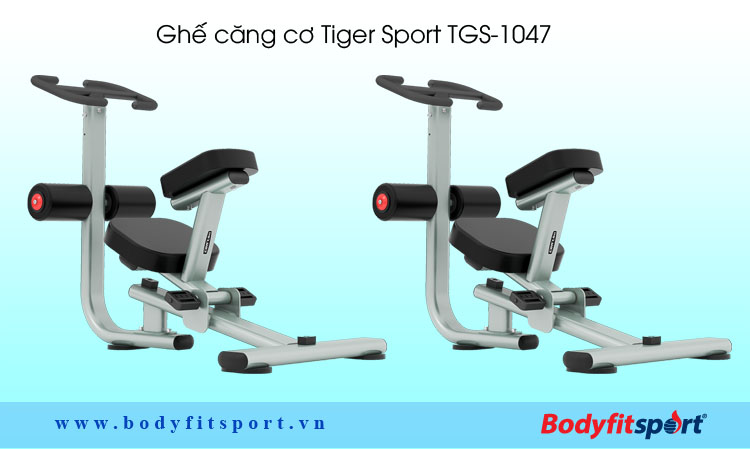 Ghế căng cơ Tiger Sport TGS-1047